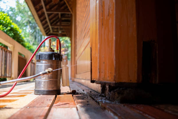 Best Rat Extermination Near Me  in Carrabelle, FL