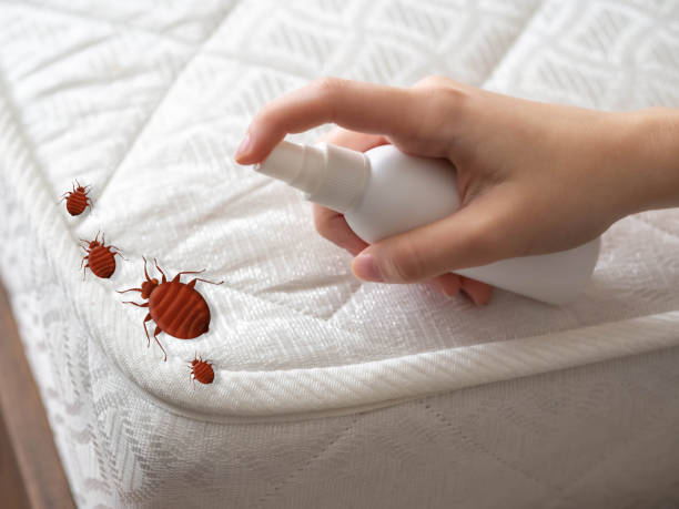 Best Cockroach Control Services  in Carrabelle, FL