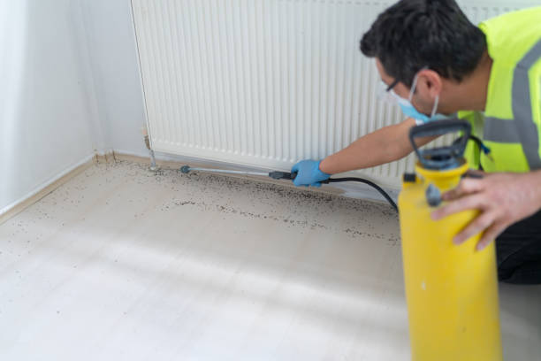 Best Best Pest Control Companies  in Carrabelle, FL