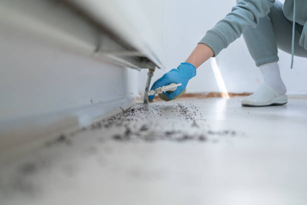 Best Local Pest Control Services  in Carrabelle, FL